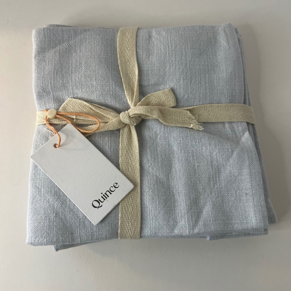 Quince 100% Organic Cotton Woven Napkins Set Of 4 20 x 20" Pale Blue NIP